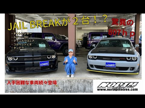 【アメ車】本日から本格始動！希少な車両がこんなにも！？ジェイルブレイクやグランドワゴニアまで(`･ω･´)b　＃ダッジ　＃ジェイルブレイク　＃JAILBREAK　＃グランドワゴニア