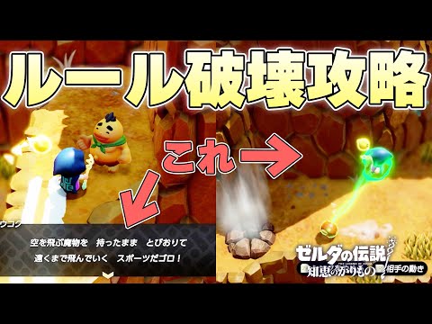 本来は魔物に掴まって滑空していくミニゲームをルールフル無視でクリアすることはできるのか【ゼルダの伝説 知恵のかりもの実況】