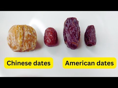 Chinese dates VS American dates,常见中国枣和美国枣的区别