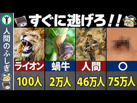 人間を最も殺している生物！1位の生物は⁉【ゆっくり解説】