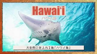 Do you know about Island of Hawaiʻi?  ハワイ島の魅力を紹介 by ハワイ州観光局