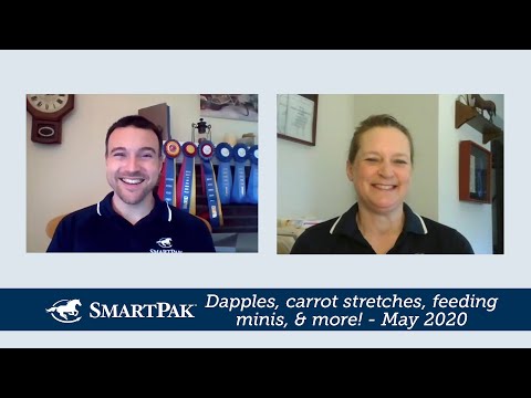 Ask the Vet - Dapples, carrot stretches, feeding minis, and more! - May 2020