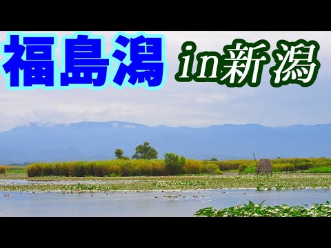 【VOICEROID車載】#15:新潟なのに福島潟【東北珍走】