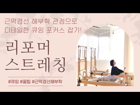 리포머 스트레칭 (feat. 근막경선해부학 )