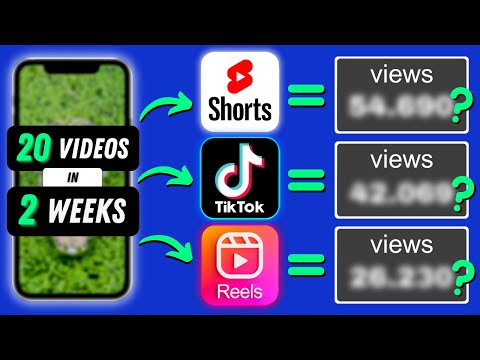 20 Videos in 2 Weeks on SHORTS, TIKTOK & REELS | What Platform Gives The Most Views?