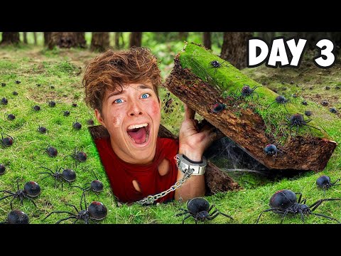 7 EXTREME Challenges You'd NEVER Try!