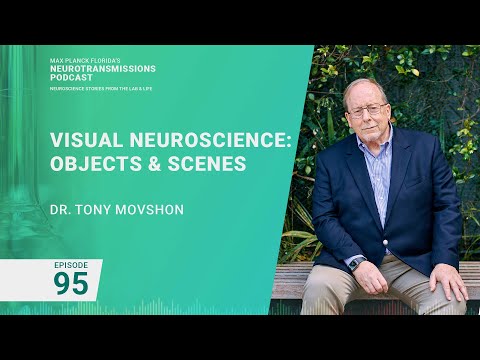 Podcast Episode 95 - Visual Neuroscience Objects & Scenes | Tony Movshon