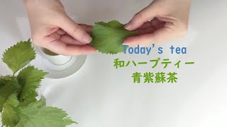 今朝のお茶♪和ハーブの青紫蘇茶