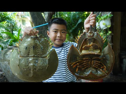 Yummy Horseshoe crabs cooking with country style - Chef Seyhak