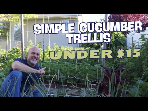 Build A Simple Garden Trellis for Under $15