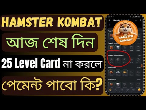 Hamster Kombat Card 25 Level করা কি বাধ্যতামূলক | 25 Level না করলে পেমেন্ট কি পাবেন | Hamster Kombat