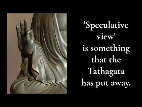 A Thicket of Views ~ Aggivacchagotta Sutta: To Vacchagotta on Fire -MN 72 ~ Theravadin Pali Buddhism