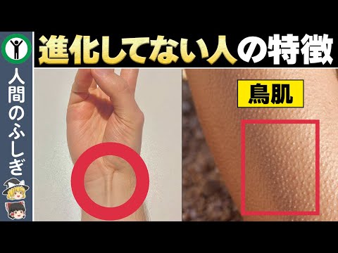 完全に進化できていない人の特徴【ゆっくり解説】