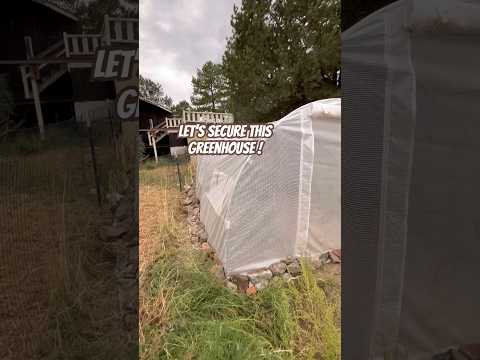 Today on the Homestead: Securing  Greenhouse Roof with Mountain Rocks |DIY Animal Repellent #shorts