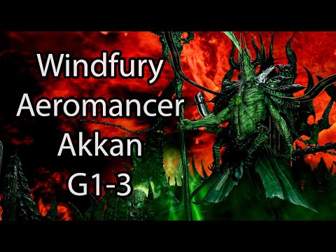 Windfury Aeromancer | Akkan G1-3 - Lost Ark