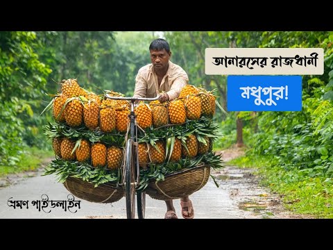 ঘুরে আসুন আনারসের বিখ্যাত হাট জলছত্র বাজার | Jalchatra Bazar | Tangail