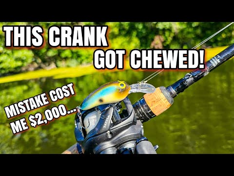 Crankbait Bite was FIRE but... HORRIBLE Mistake Cost $2,000