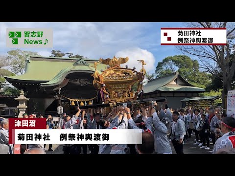 菊田神社例祭神輿渡御(市長News 24.11/6(水))②