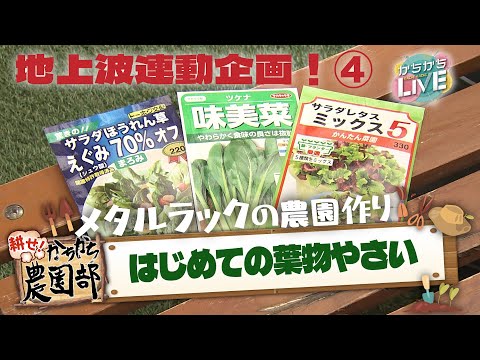 【農園部④】葉物野菜の種まき