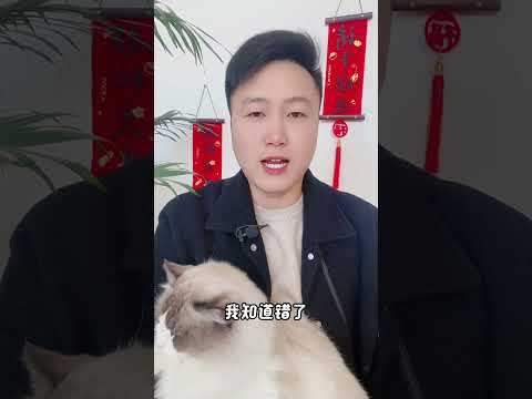 猫咪和主人说话，你能听懂吗？养猫经验分享 科学养宠攻略 新手养猫 养猫知识 养猫人