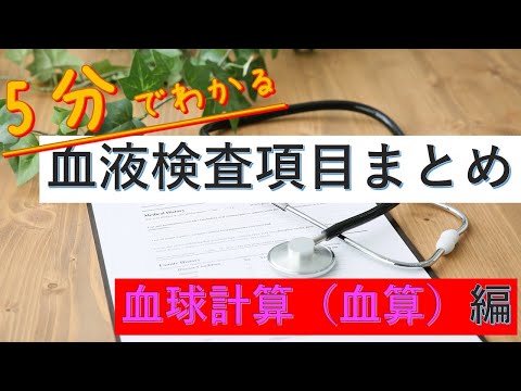 【5分でわかる】血液検査項目　血球計算編