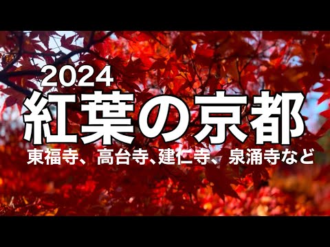 紅葉の京都2024