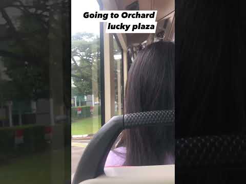 Going to Orchard #travel