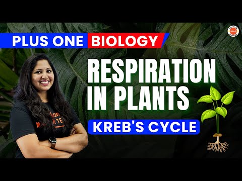 Respiration in Plants | Plus One Biology | Kreb's Cycle | Anchana Ma'am