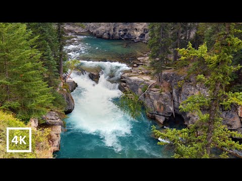 A Stress Free Zone: Soothing Sounds of Falling Water for Deep Relaxation, Meditation or Sleep 4k UHD