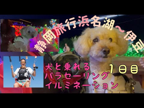 【犬と伊豆旅行】静岡旅行1日目犬と乗れるパラセーリングあるのしってますか？😳