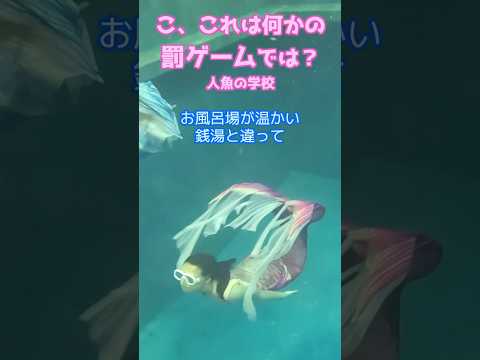 🧜‍♀️冬の時期のマーメイドの悩みとは？/マーメイドスイム #mermaid #マーメイド #人魚