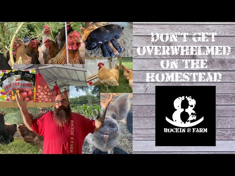 Start Slow On That Homestead | Rockin 8 Farm