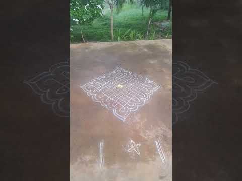 Margali Kolam #margalikolam