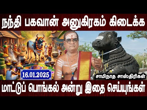 கைலாசத்தில் நிச்சயம் இடம் உண்டு | maatu pongal vazhipadum murai | Aanmeega tips | Bakthi Oli