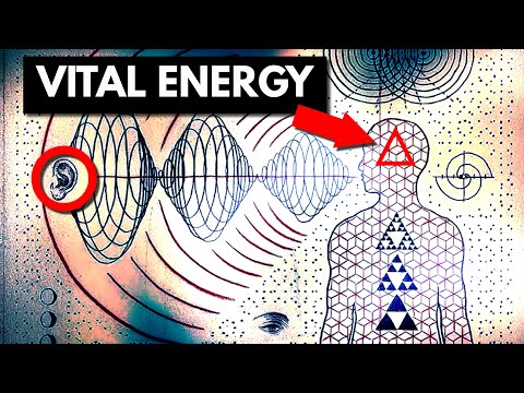 The 12 core aspects within VITAL ENERGY