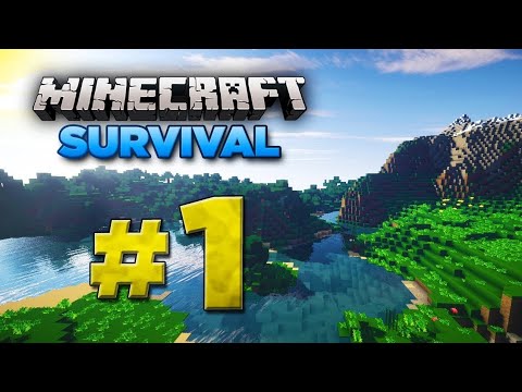 O COMEÇO  DA SÉRIE  DE MINECRAFT!!!