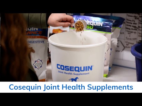 Cosequin Equine joint health supplements