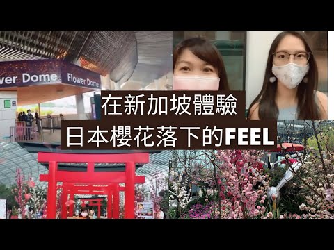 凱西 Vlog 30: 在新加坡體驗日本櫻花落下的FEEL！拍影片拍出《巨星》感覺！凱西在這裡買了一頂《高級》感帽子！