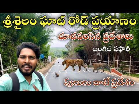 45km నల్లమల ఘాట్ రోడ్ లో నా ప్రయాణం|Dornala To Srisailam Ghat Road 45km