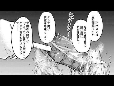 【異世界漫画】彼は巨大な怪物を討伐するために北の平原へ向かった1~27,2【マンガ動画】