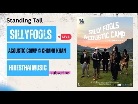 Silly Fools - Standing Tall Acoustic Camp Live @ Chiang Khan 2023