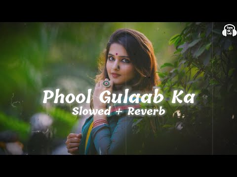 Phool Gulab Ka ( Slowed & Reverb ) Biwi Ho To Aisi | 90s Hit Hindi Songs Slowed And Reverb