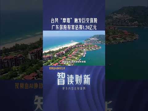 台风“摩羯”触发巨灾保险 广东保险报案估损1.24亿元 #typhoon #yagi #insurance #guangdong #loss #chinanews #台风魔羯 #巨灾保险