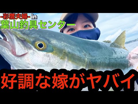 【青物再び】気がついたら嫁が毎回青物を釣っている件について【旦那はチャリコ】