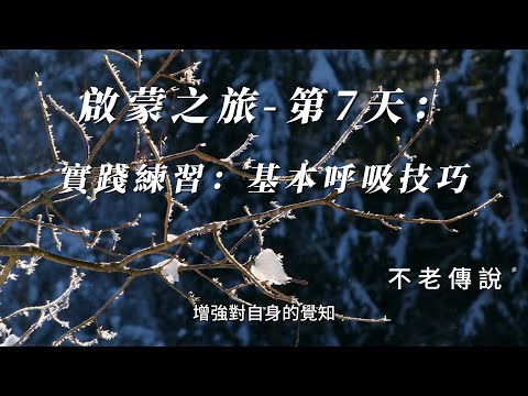 啟蒙之旅 第7天：實踐練習：基本呼吸技巧