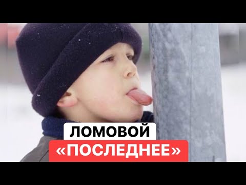 ЛОМОВОЙ - Последнее