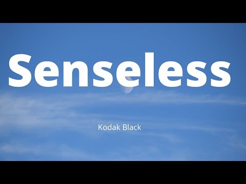 Kodak Black - Senseless (Song Lyrics)