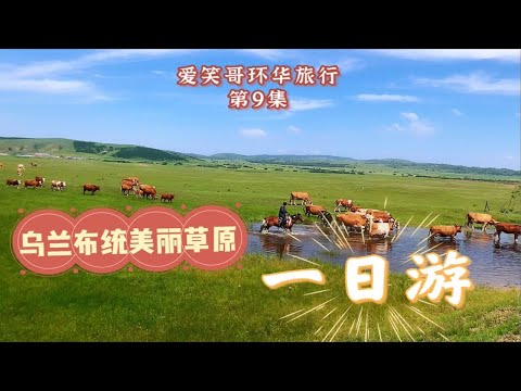 从乌兰布统到康保县，一路都是草原好风景，还遇到一只小黑狗！