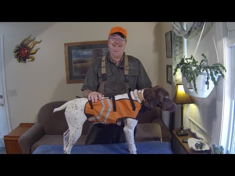 Bird Dog Armor Protective Vest