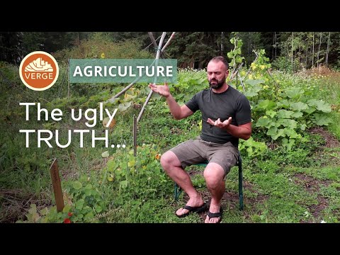 The Ugly TRUTH About Industrial Agriculture | What Permaculture Offers